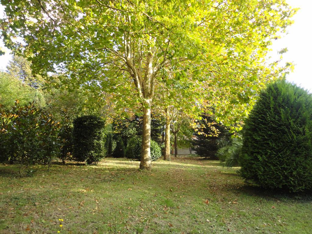 Tenuta Montelaura Forino ภายนอก รูปภาพ