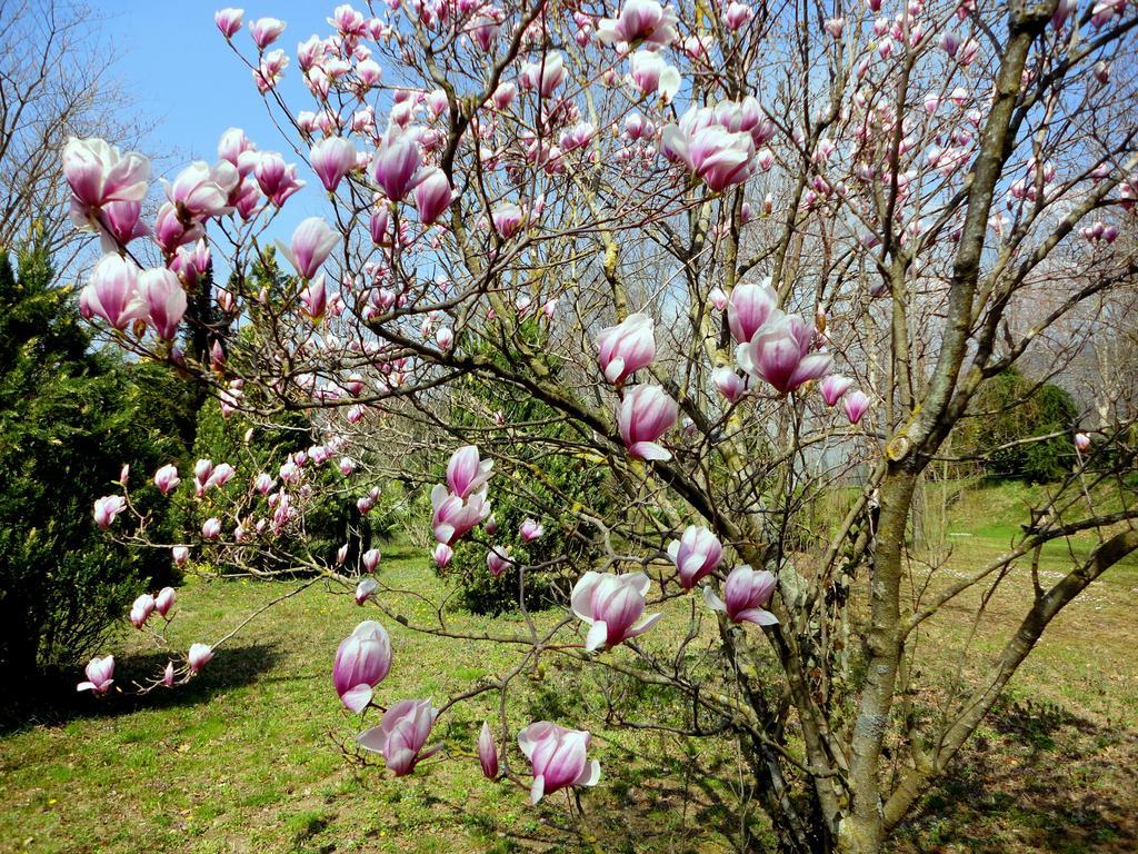 Tenuta Montelaura Forino ภายนอก รูปภาพ