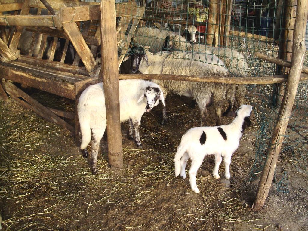 Tenuta Montelaura Forino ภายนอก รูปภาพ