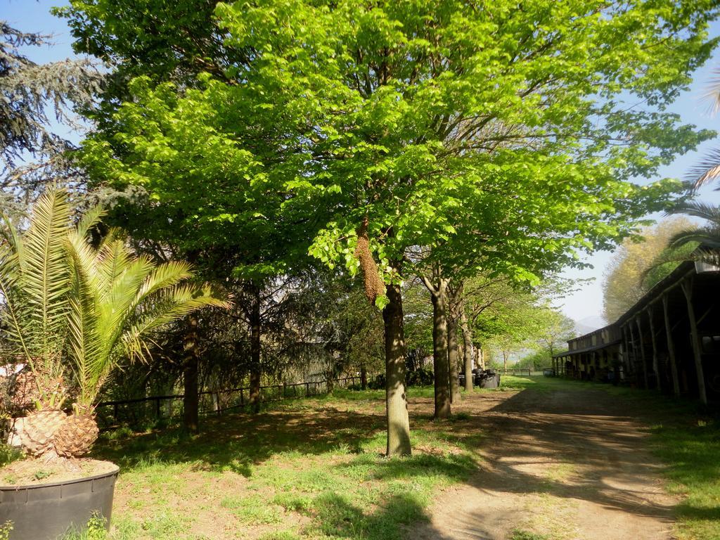 Tenuta Montelaura Forino ภายนอก รูปภาพ